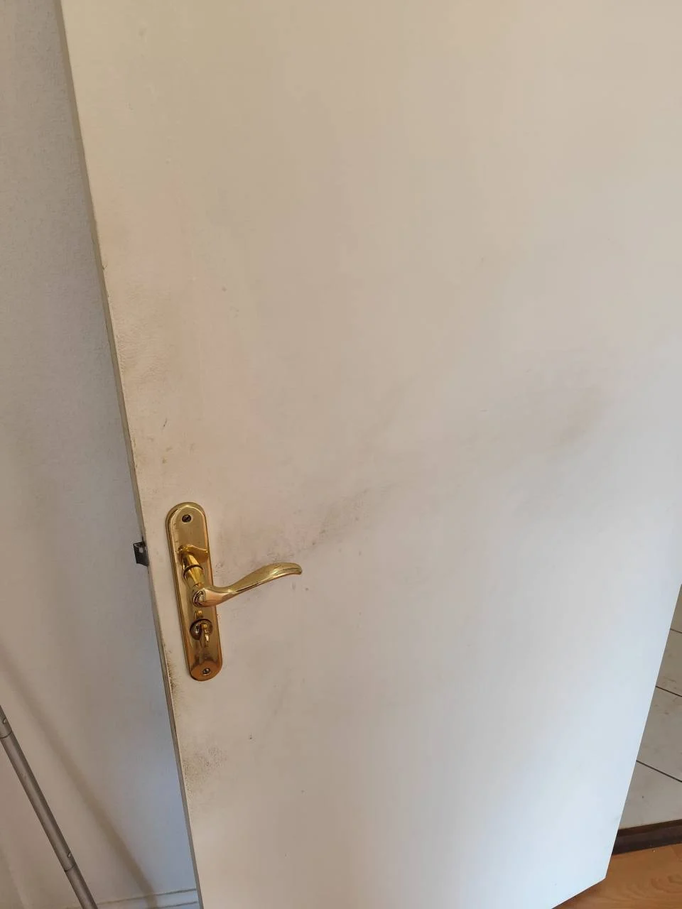 Porte avant nettoyage — traces autour de la poignée, appartement à Bordeaux Ravezies